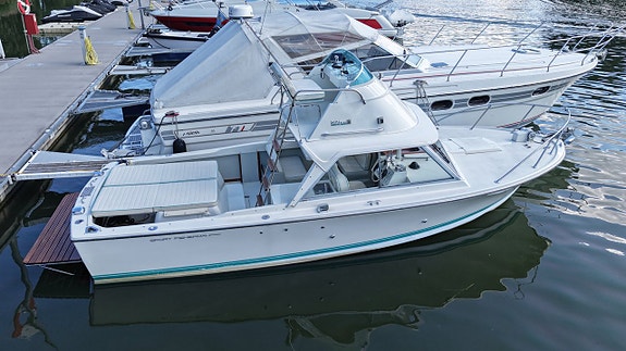 Riva Bertram 25 Sportfisherman -1970/2006 2 of 29