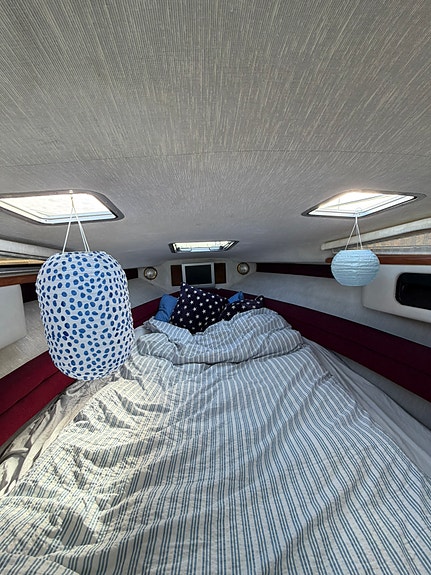 SeaRay 250 Sundancer V8 330 hk - mycket fint skick 4 of 8