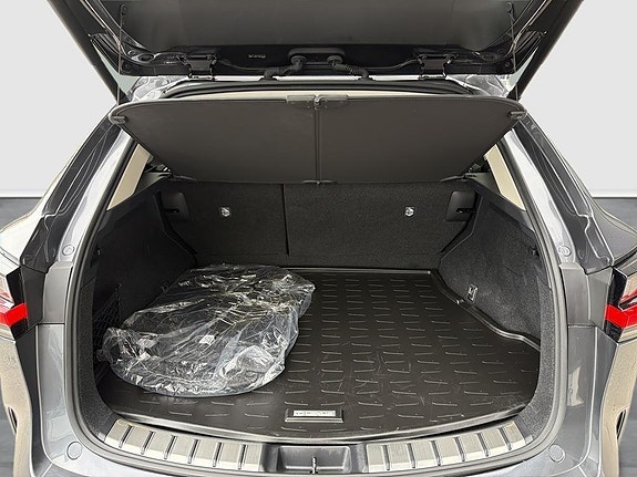 Lexus NX450h+ 10 of 15