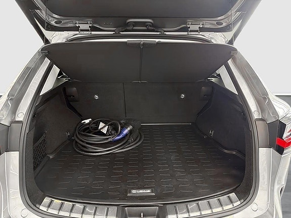 Lexus NX450h+ 10 of 14