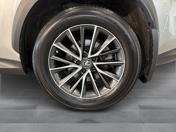 Lexus NX450h+ 11 of 14