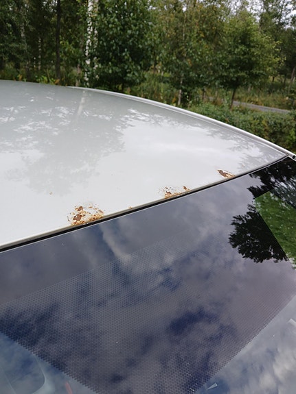 Toyota Auris 10 of 12