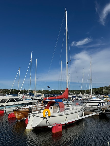 Välhållen Albin 78 Cirrus 9 of 15