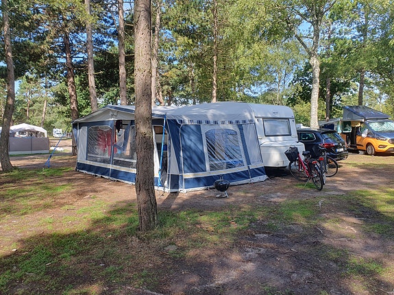 Övriga Öggestorp Baron 590FB 11 of 11