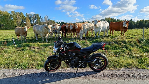 Yamaha XJ6 N ABS 2 of 6