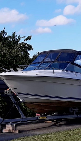 Sea ray 7 of 8