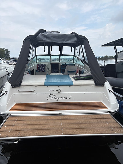 Sea ray 4 of 8