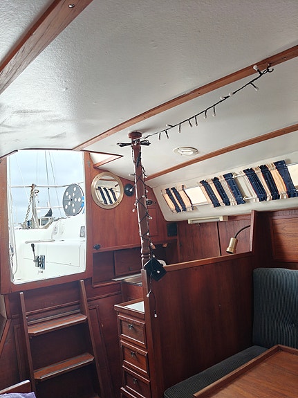 Johnson 26 8 of 13