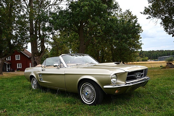 Ford Mustang 11 of 30
