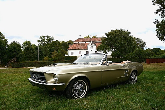 Ford Mustang 4 of 30