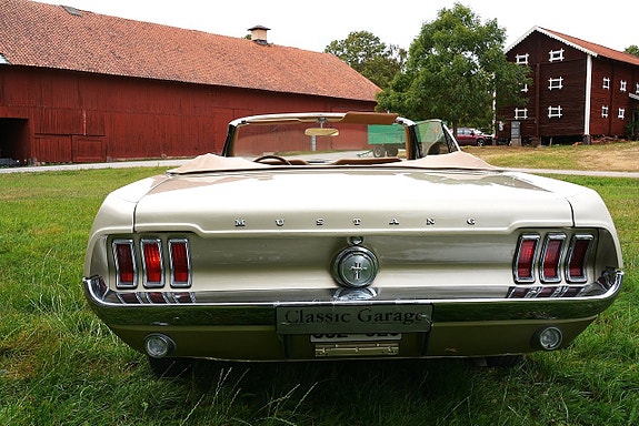 Ford Mustang 13 of 30