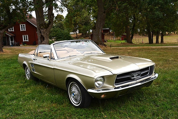 Ford Mustang 10 of 30