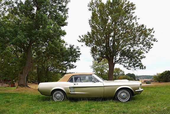 Ford Mustang 3 of 30