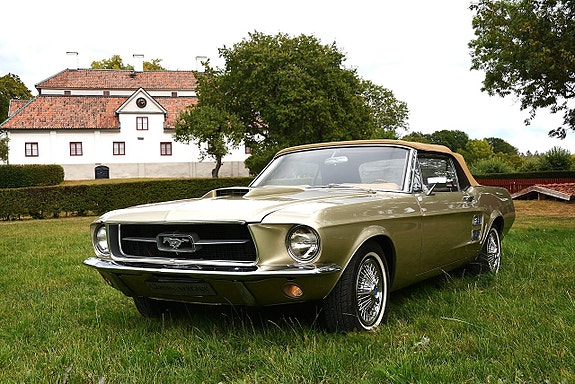 Ford Mustang 29 of 30