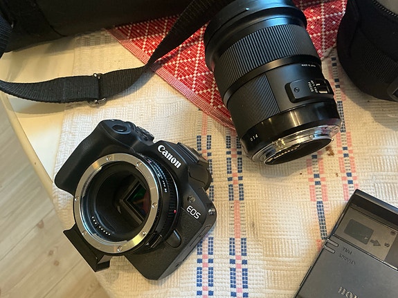 Canon EOS R50 -  Sigma 50mm F1.4 DG HSM Art image 3