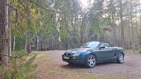 MG F 2 of 12