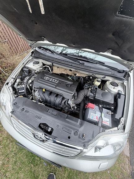 Toyota Corolla 7 of 11