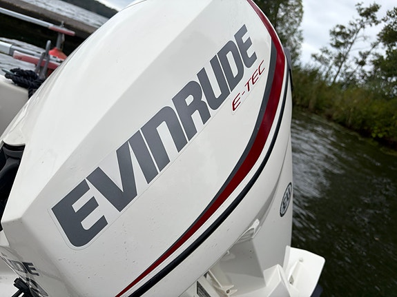 Terhi 4110 med Evinrude E-tec 30 hp 2018 och 80-trailer 4 of 9
