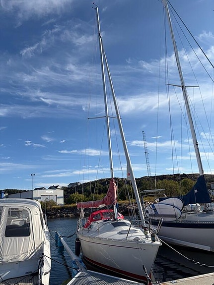 Albin Cirrus Billigt 13 of 16