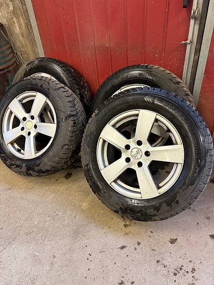 Volkswagen Tiguan 11 of 13