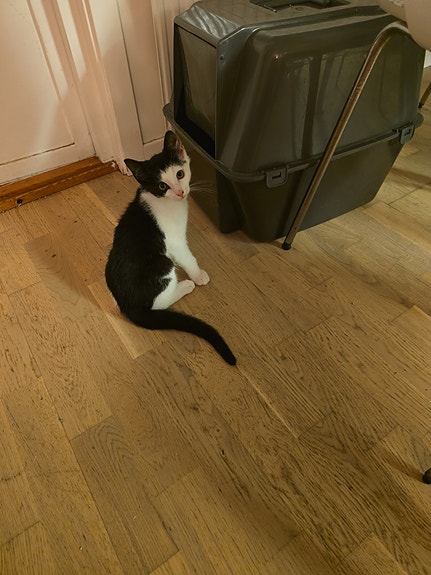Product image 8 of 10