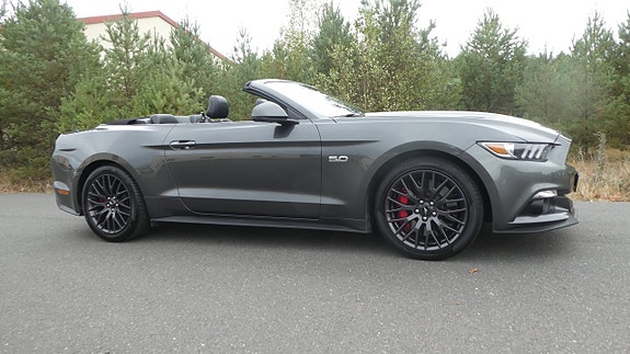 Ford Mustang 29 of 30