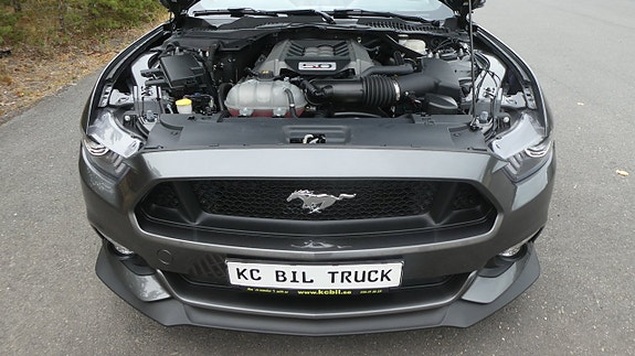 Ford Mustang 21 of 30
