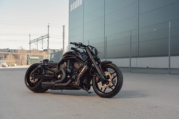 Harley-Davidson Night Rod Custom / 360 kit custom NLC Arnott Luftfjäd 2 of 19