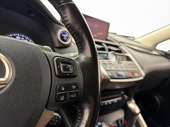 Lexus NX300h 19 of 30