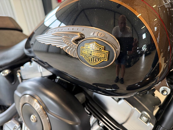 Harley-Davidson Fat Boy Lo 1.7 Twin Cam 103B,2013 5 of 7