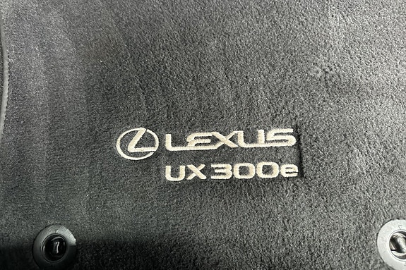 Lexus UX300e 13 of 30