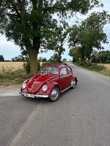 Volkswagen 1200 5 of 8