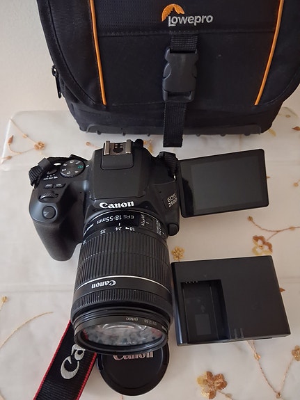 Canon EOS 250D digital Systemkamera image 3