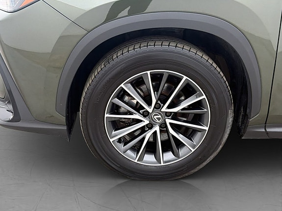 Lexus NX350h 27 of 30