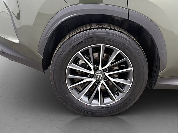 Lexus NX350h 29 of 30