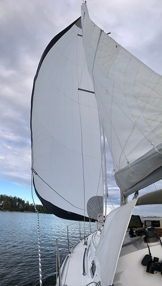 Hanse 315 5 of 15