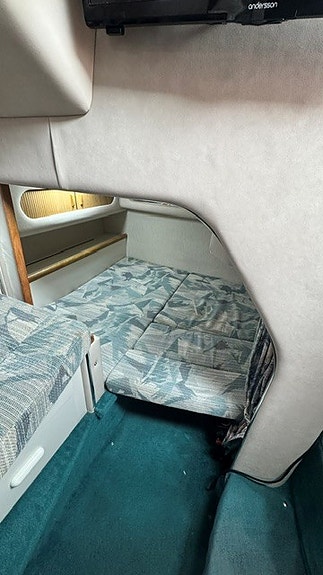 Searay  Sundancer 290 9 of 9