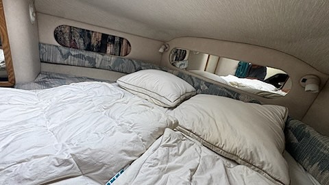 Searay  Sundancer 290 7 of 9
