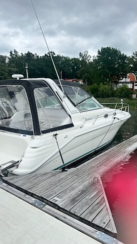 Searay  Sundancer 290 2 of 9