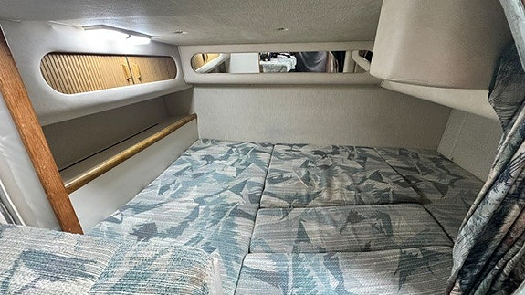Searay  Sundancer 290 8 of 9