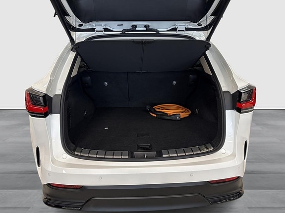Lexus NX450h+ 4 of 9