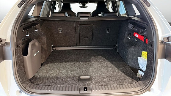Skoda Enyaq RS 9 of 10