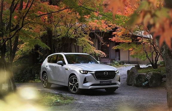 Mazda CX-60 11 of 13