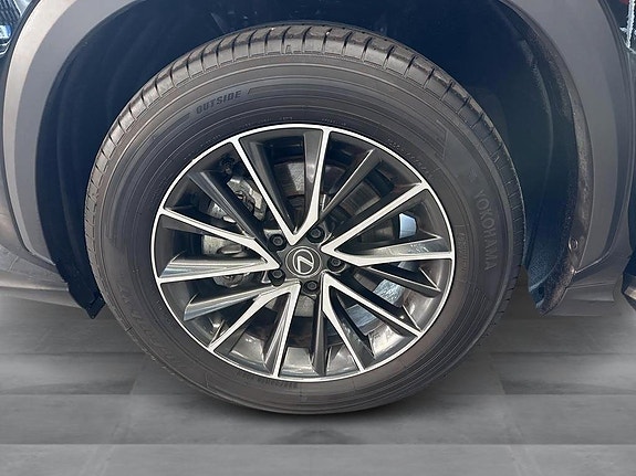 Lexus NX350h 11 of 14