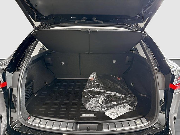 Lexus NX350h 10 of 14