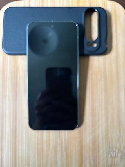 Google Google Pixel 9 Pro XL 254 gb