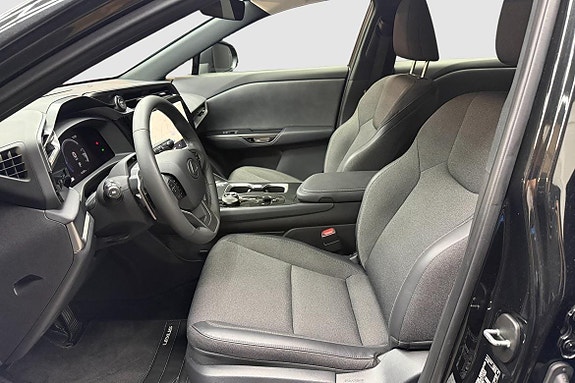 Lexus RZ300e 14 of 18
