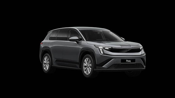 Skoda Peaq
