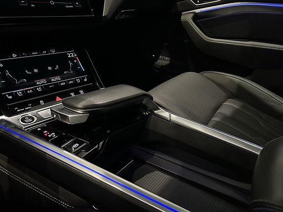Audi Q8 e-tron 19 of 19