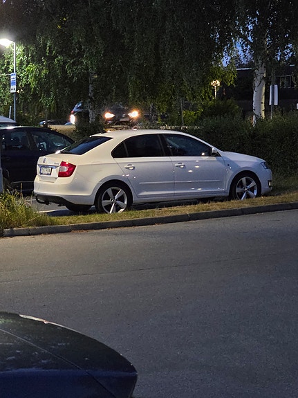 Skoda Rapid 2 of 3